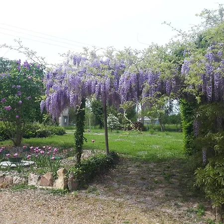 Nocleg ze śniadaniem Logeveil - 