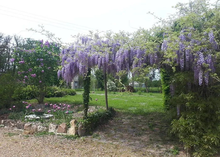 לינה וארוחת בוקר Logeveil - 